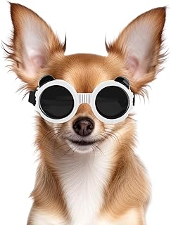 Dog Goggles for Small Dog UV/Wind/Dust Protection Dog Sunglasses for Small Breed with Adjustable Strap