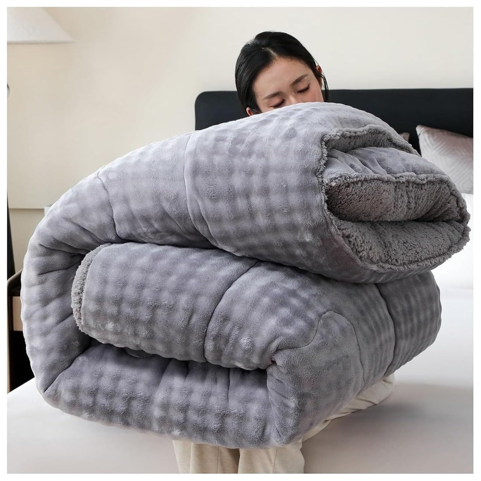 Super Warm Lamb Quilt Winter Blanket, Lamb Cashmere Warm Quilt Core Thickened Double-Sided Plush Comforter for Cold Weather(Color5,220x240cm(5KG))