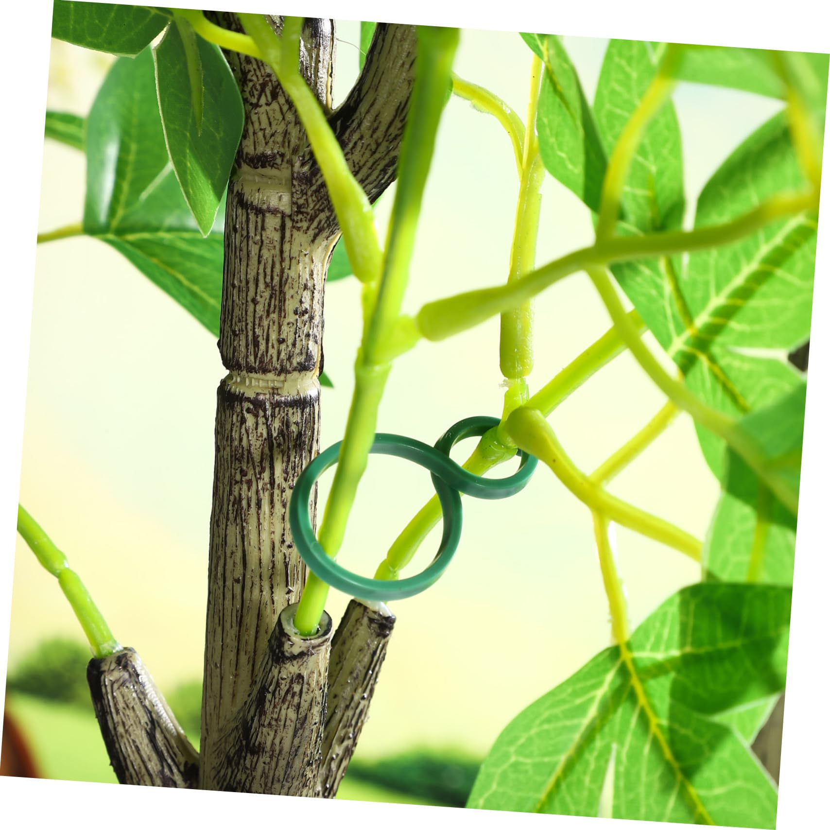 POPETPOP 5 Set Fibbia da Giardinaggio Clip di Supporto del Pomodoro Morsetto della Vite del Fiore Clip per Piante Clips per Piante Pinza per Pomodoro Pianta Supporta Clip 100 Pezzi * 5