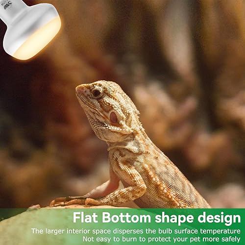 Miniatura 6 de LUCKY HERP Paquete de 2 bombillas de calor para reptiles de 75 W, bombilla de reptil UVA intensa, luz diurna de reptil, bombilla de calor para