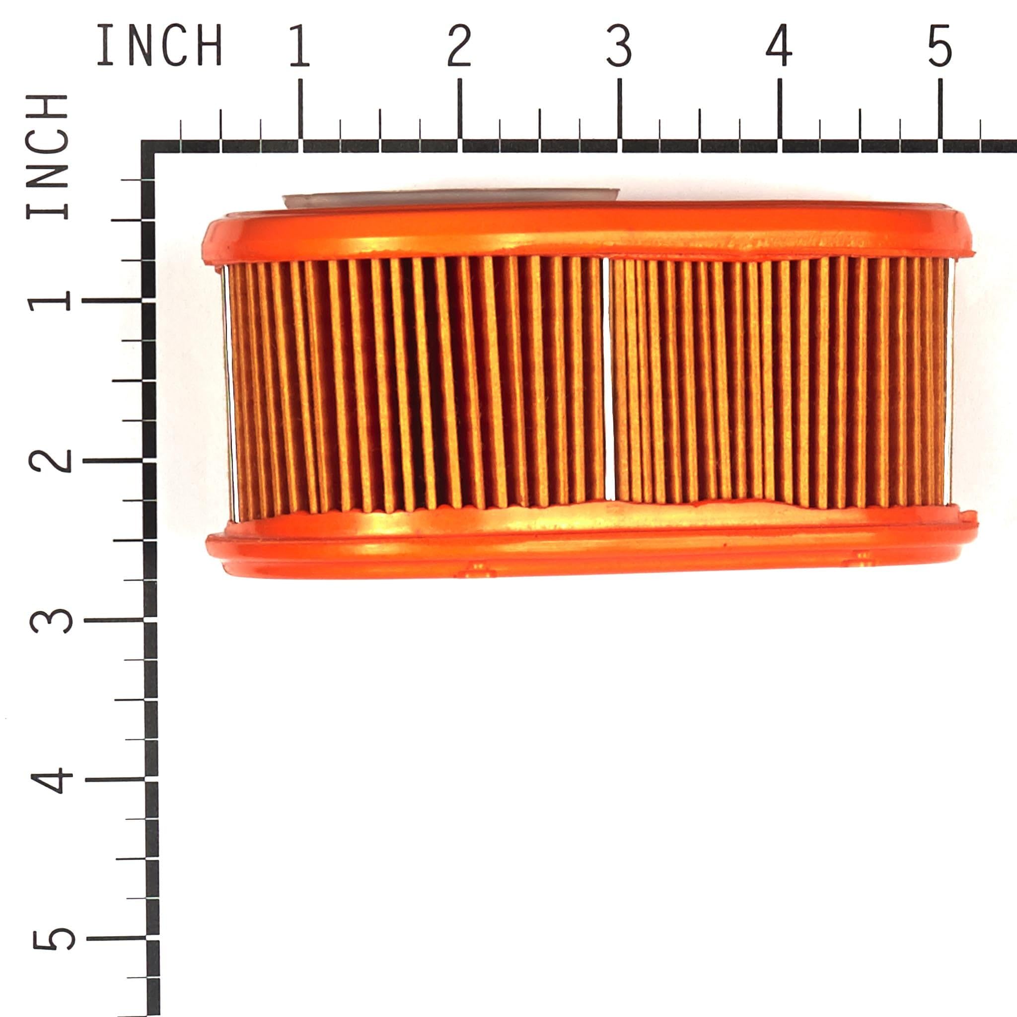 Briggs and Stratton 4245 - Filtro de aire (5 de 792038)