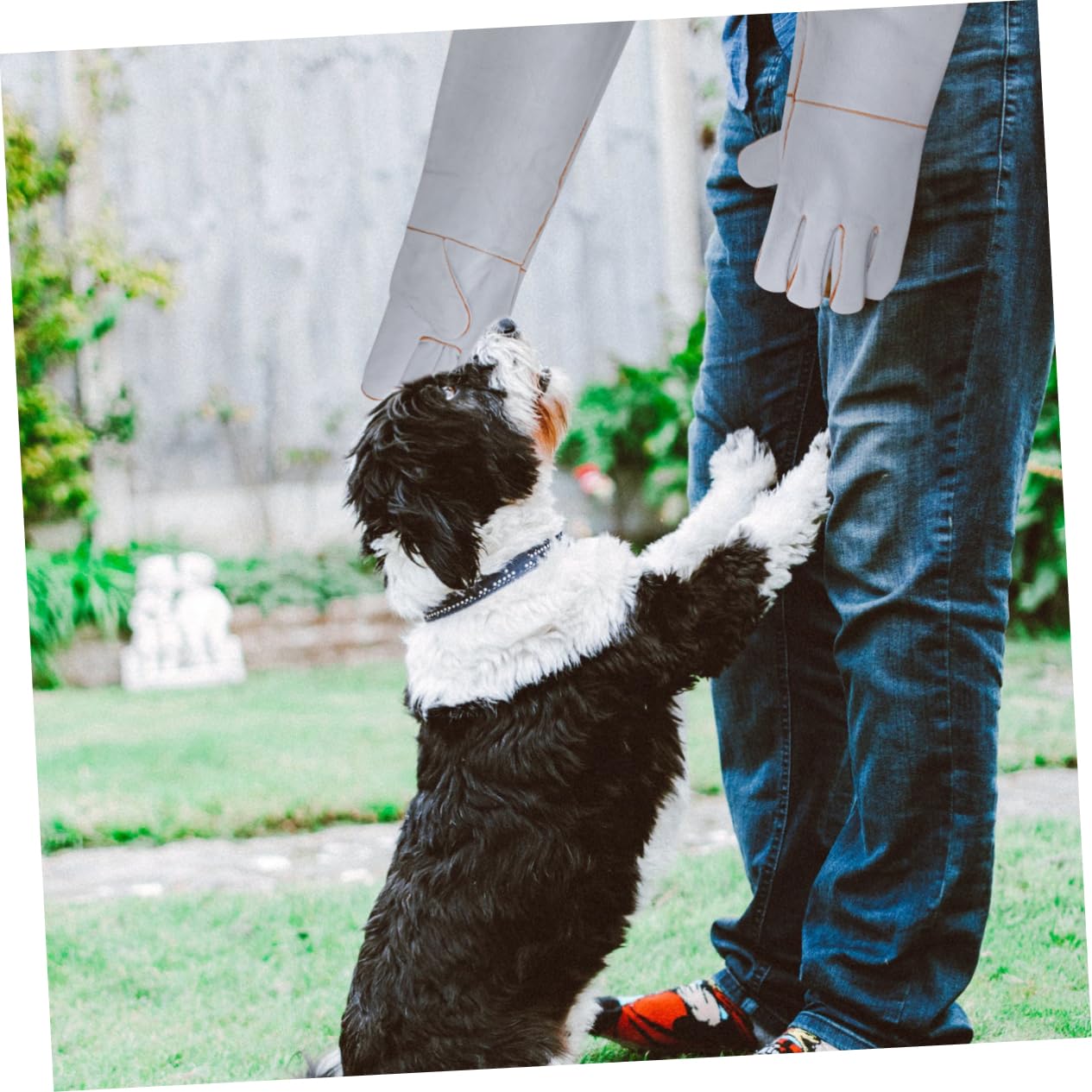 1 Paar Haustier-Anti-Biss-Handschuhe, bisssichere Hundehandschuhe, Fütterungshandschuhe, Haustier-Badehandschuhe, Haustier-Schutzhandschuhe, Fellpflege-Handschuhe, Stulpen, kosmetische Leder-Anti-Hand