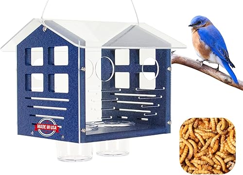 JCS Wildlife Alimentador de Bluebird incluido 2.0