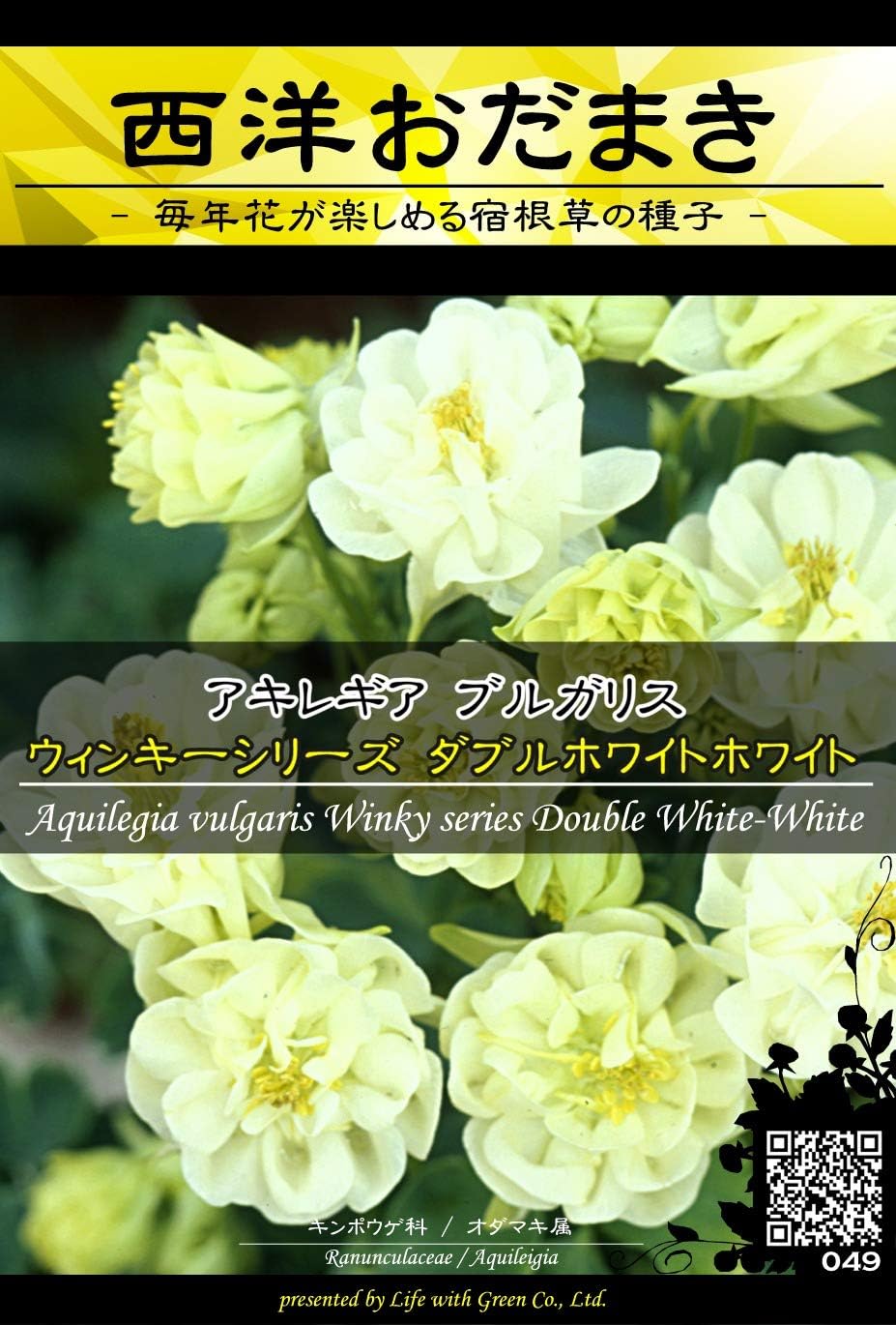 New売り切れる前に 花種 アキレギア ブルガリス クレメンタインシリーズ ブルー 61 M Discoversvg Com