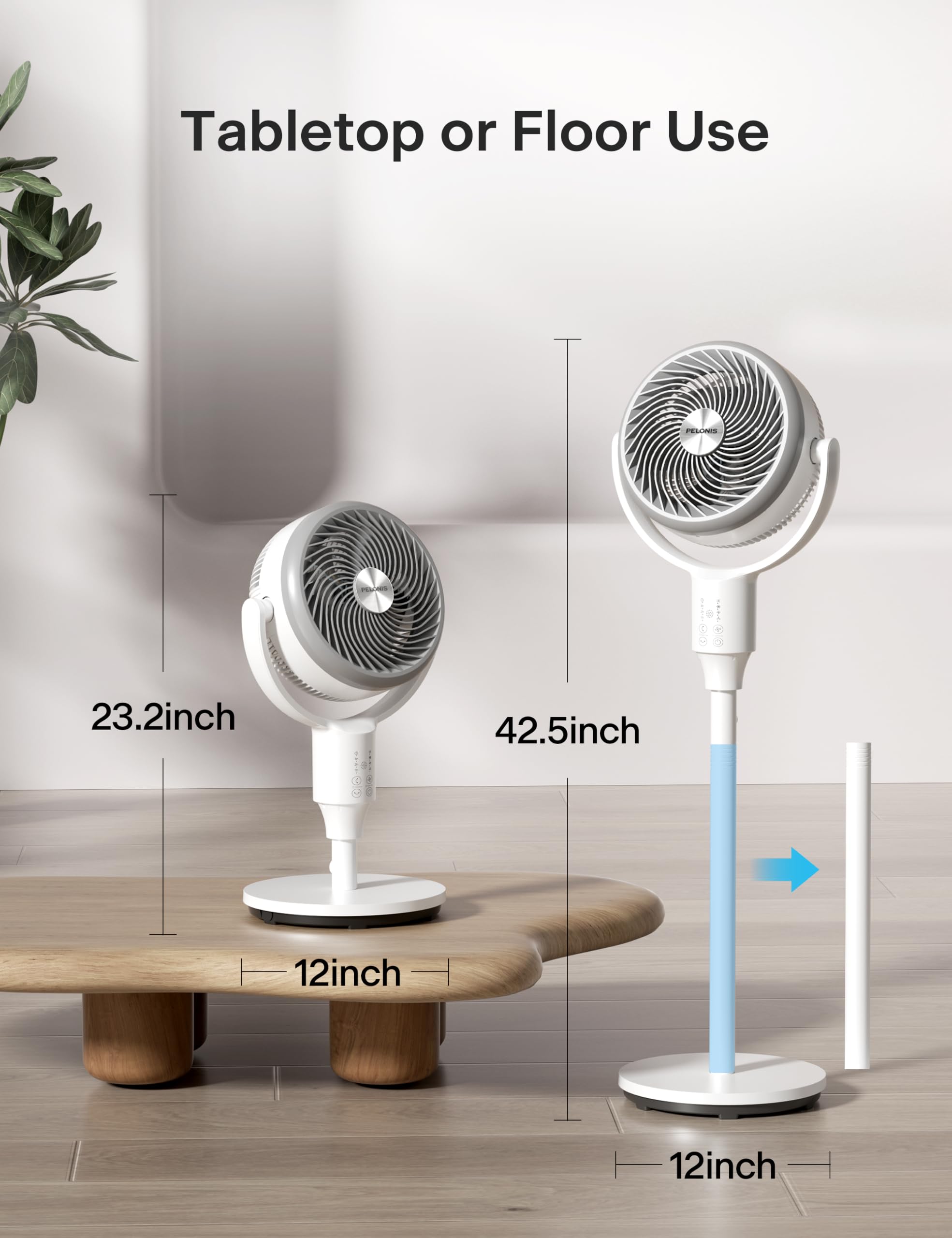 https://m.media-amazon.com/images/I/71OdJfP8yVL.jpg