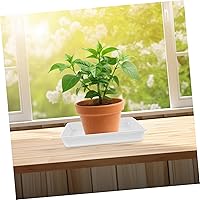 Vista 9 de Macetas y macetas de jardín, 2 unidades, bandejas de base cuadrada movibles, bandejas de goteo para plantas en maceta, bandeja de plástico