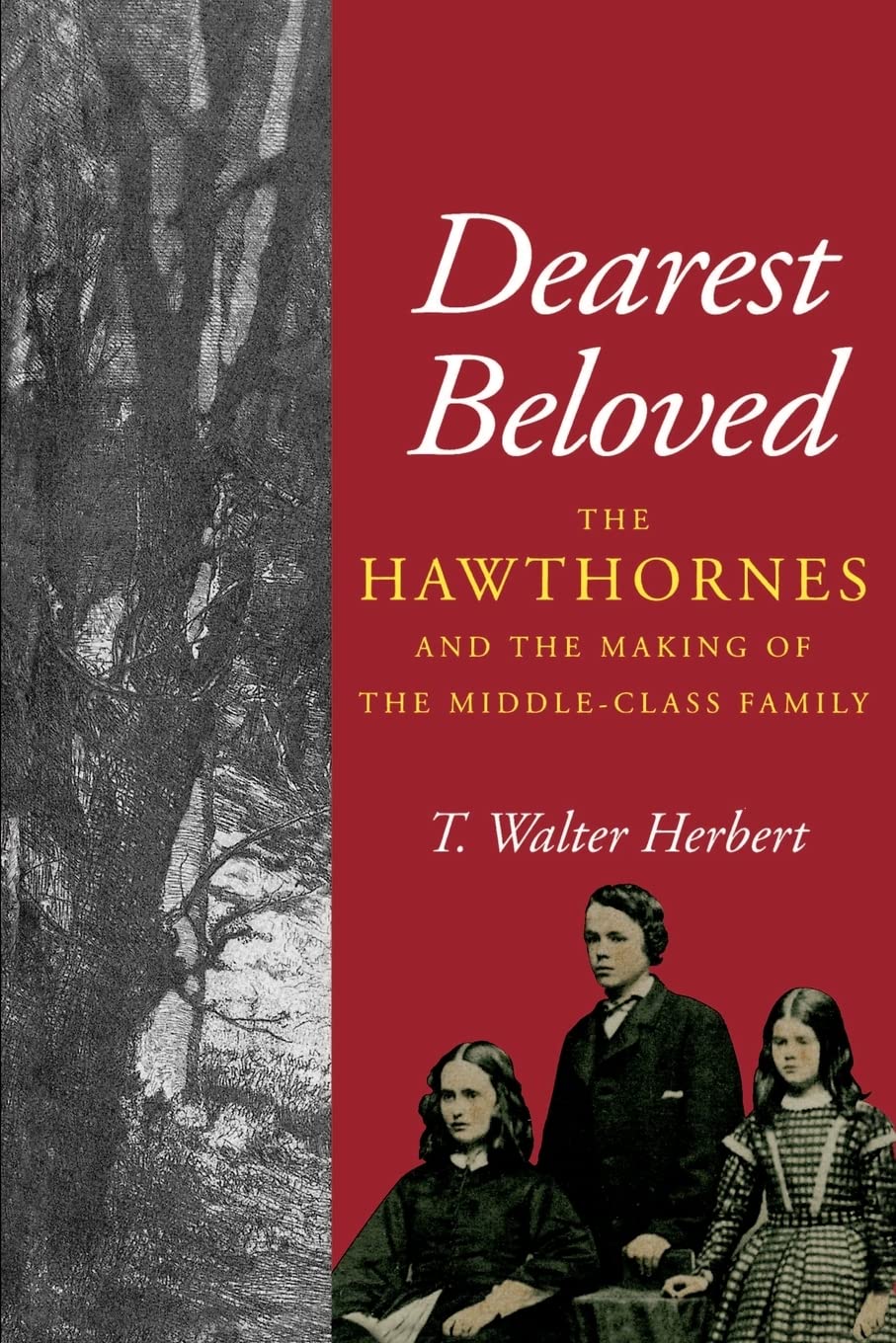 Dearest Beloved: The Hawthornes and the Making of the Middle-Class Family: 24 (The New Historicism: Studies in Cultural Poetics)