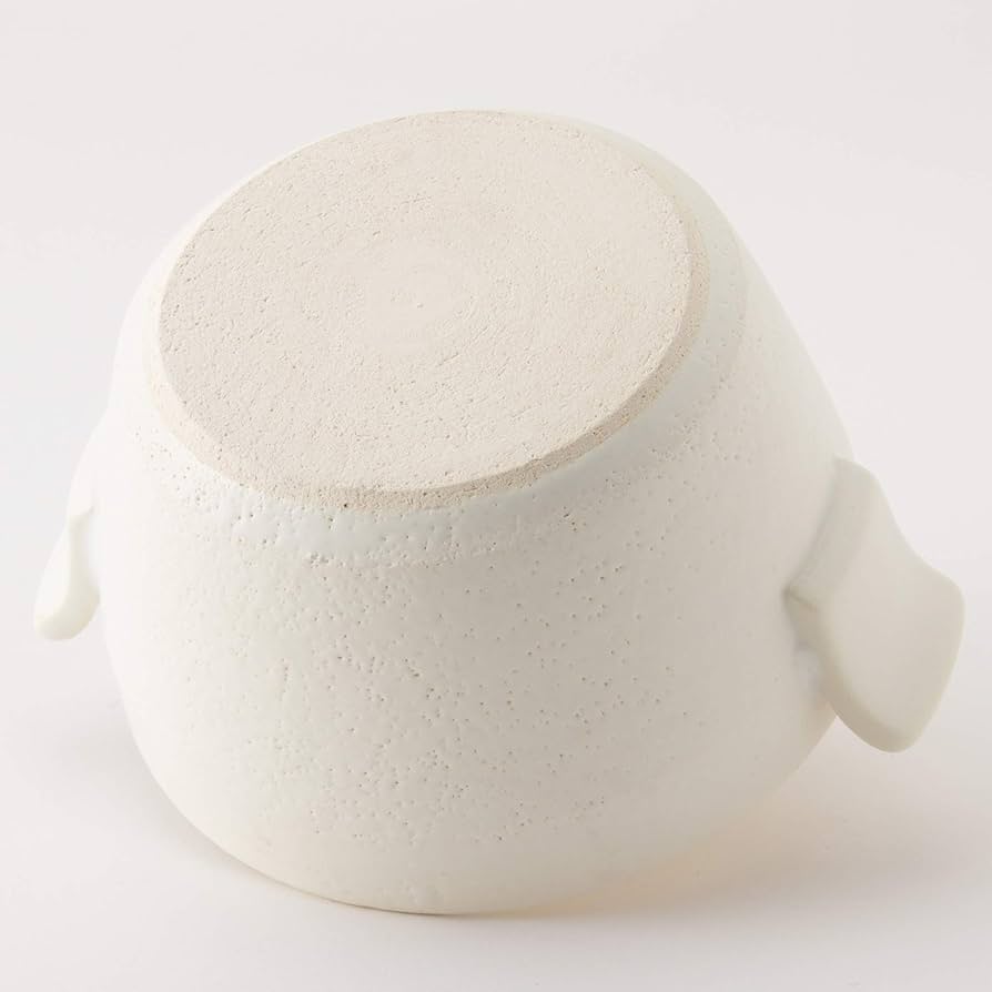 Amazon｜長谷園 伊賀土鍋 キャセロール 一人用 ふたり用 鍋 ミニ