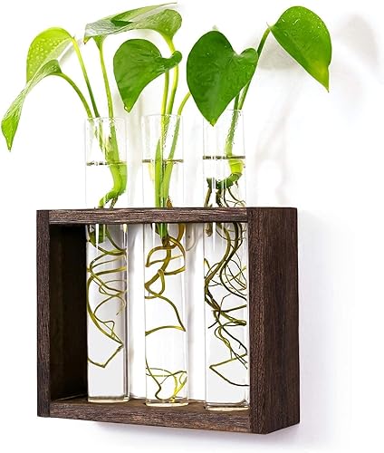 Miniatura 5 de PACDONA Estación de propagación de vidrio para colgar en la pared con soporte de madera, soporte para terrario de plantas hidropónicas suculentas