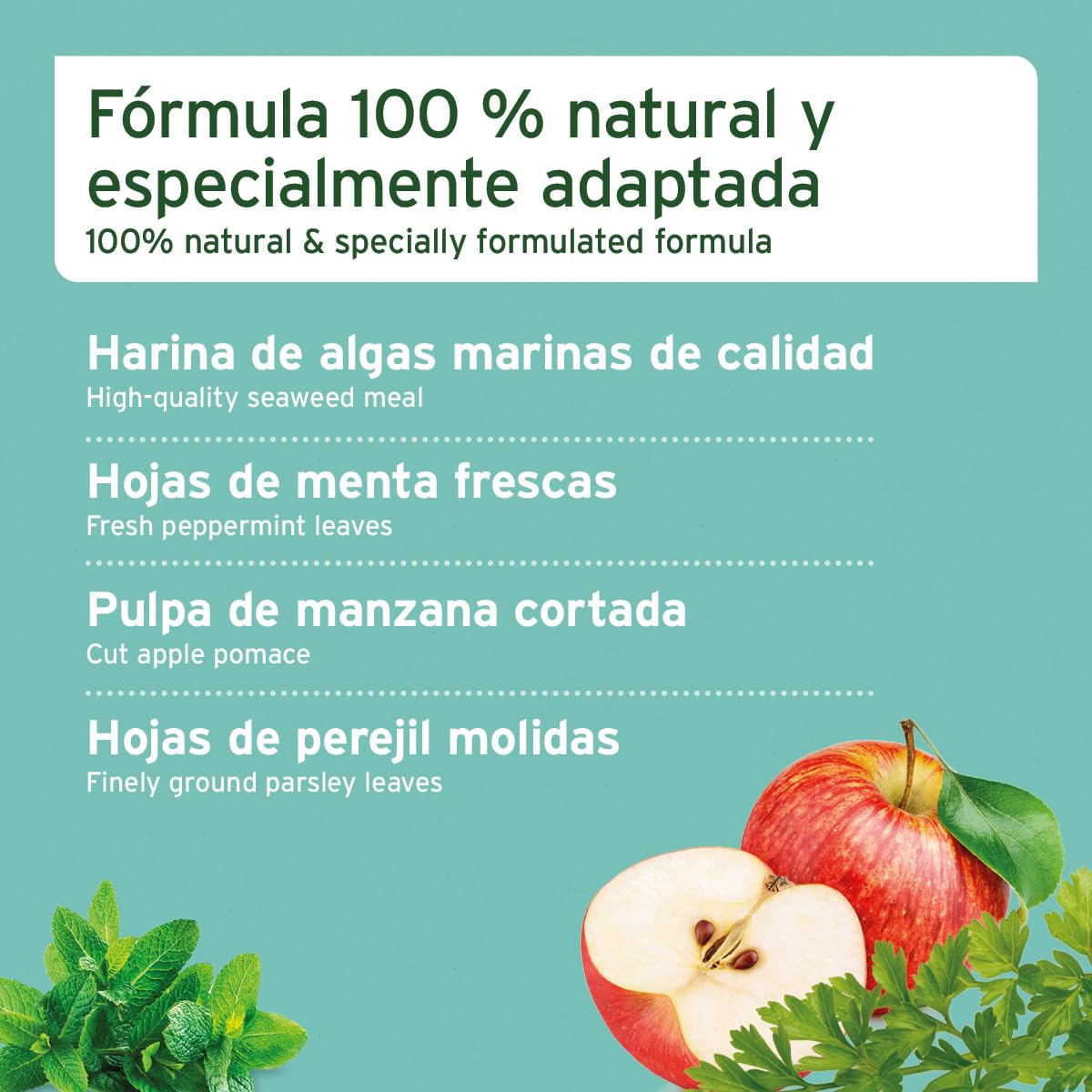 AniForte Denta Clean and Care Powder 300g para perros y gatos. Producto natural para dientes blancos, aliento fresco y prevención de Plaque. Cuidado dental en polvo.