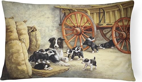 Caroline's Treasures BDBA0118PW1216 Border Collie - Almohada decorativa de tela de lona de lona 100% lavable a máquina, almohada decorativa para