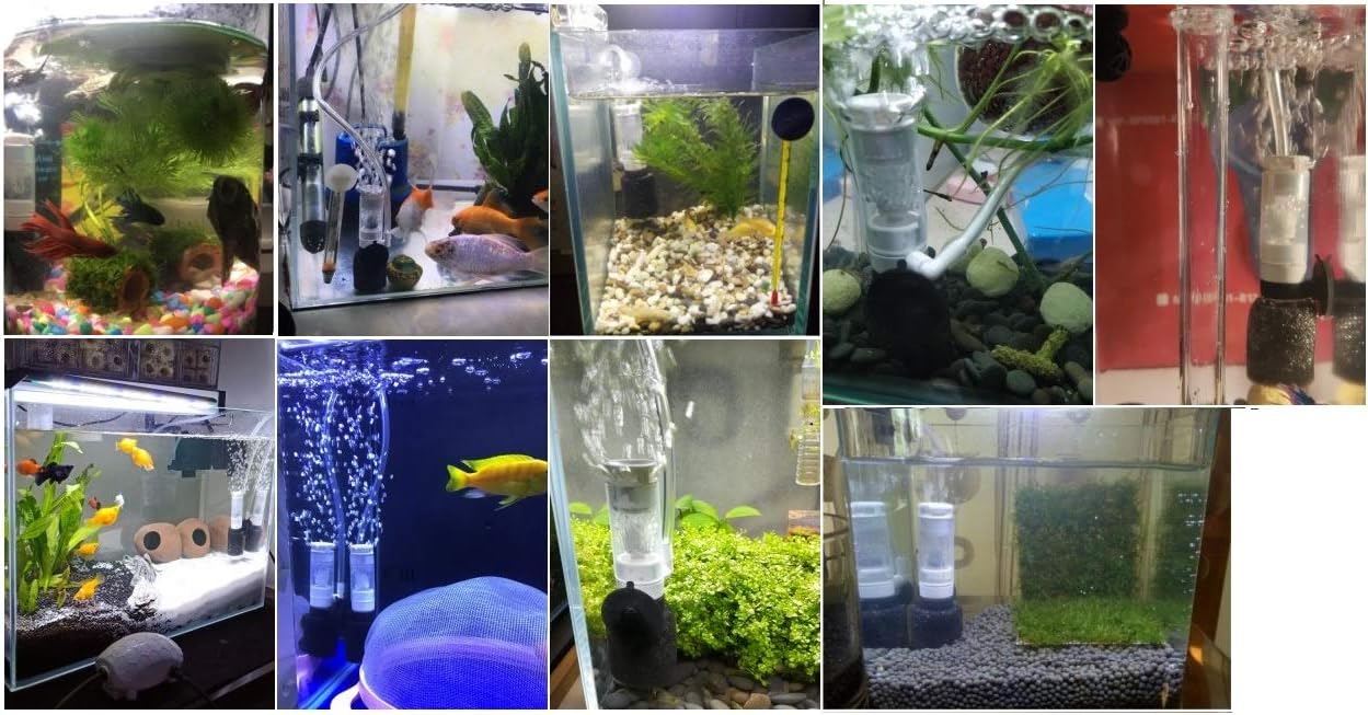 Leafs 店エアーリフト式 スポンジフィルター S 3210 ベタのフィルター スドー ベタに最適 Leafs 店エアーリフト式 スポンジフィルター S 3210 ベタのフィルター スドー ベタに最適