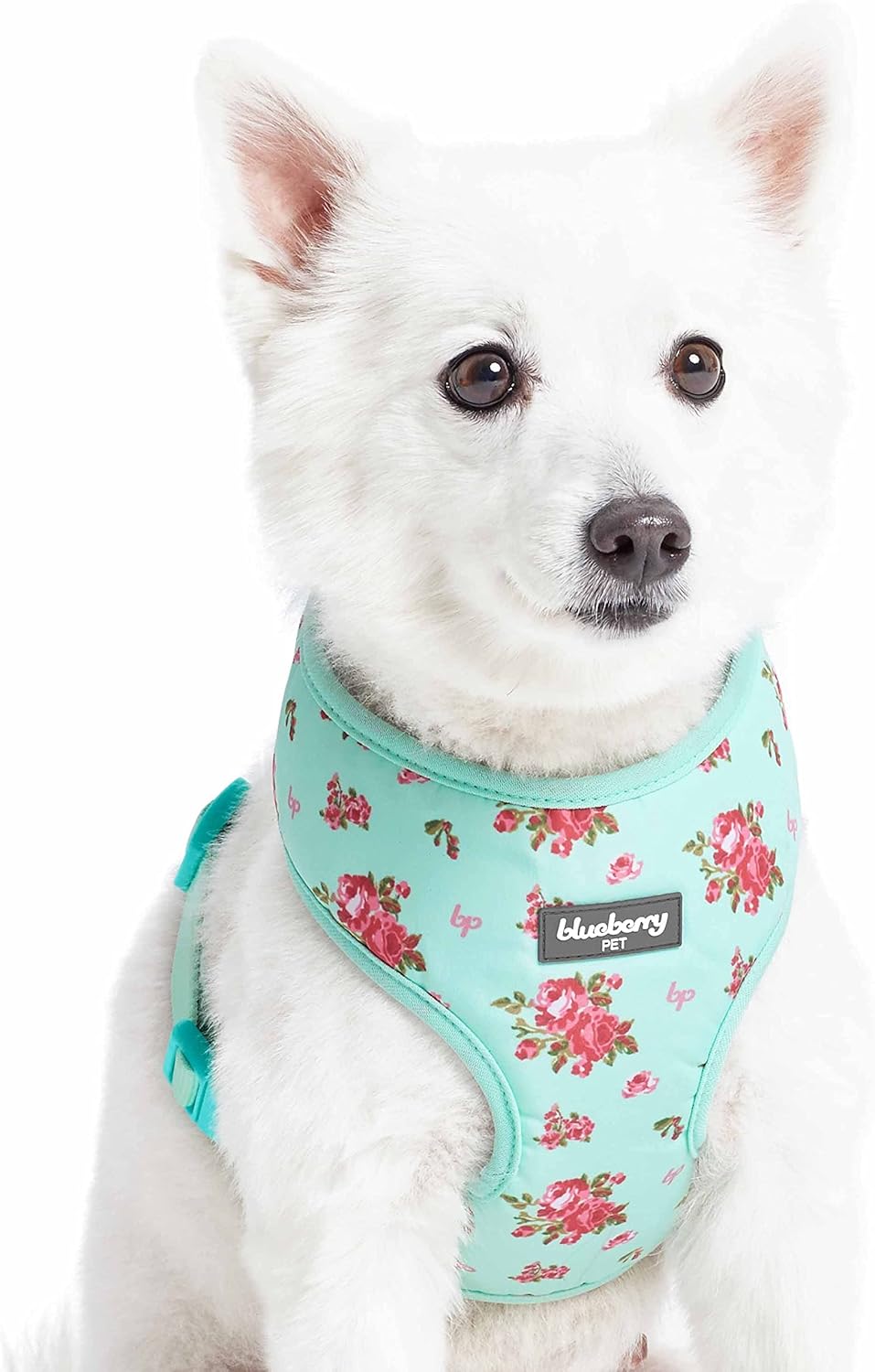 Blueberry Pet Dog Harness, Small Dog Harness for Small Dogs, Pink No Pull Harness, Puppy Harness, Dog Harness for Medium & Large Dogs, Soft Floral Turquoise, Safe & Adjustable, Award-Winning