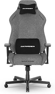 DXRacer Drifting L Ergonomic Video Gaming Chair with Lumbar Support and Headrest, Reclining Computer Gamer Chair for Adults (Water-Resistant Fabric, Light Grey)