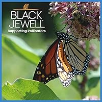 Vista 5 de Black Jewell Palomitas de maíz gourmet, cinta azul blanca, 28.35 oz (2)