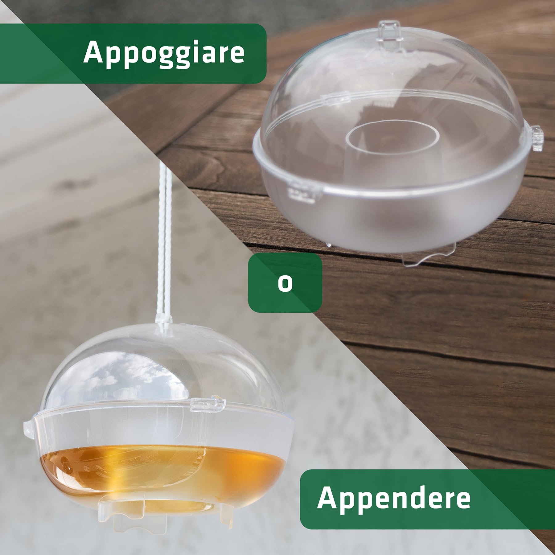 GARDIGO® Trappola per Vespe e Calabroni 4 Pz. | Anti Vespe da Esterno | Popilia Japonica Trappola | Cattura Insetti | Facile da Usare | Made in Germany