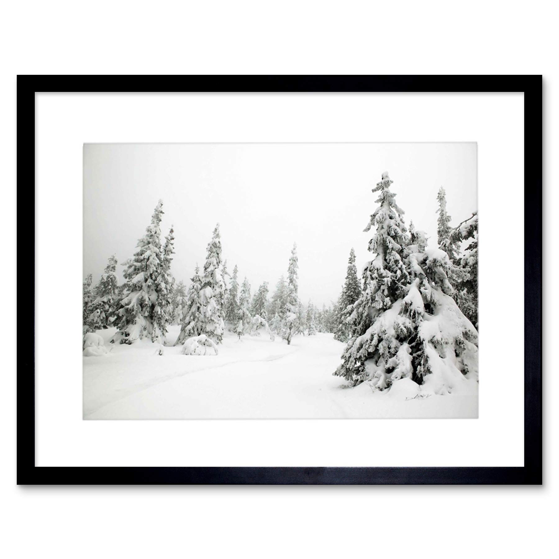 Wee Blue Coo Mp Photo Landscape Winter Scene Snow Forest Trees Picture Framed Wall Art Print