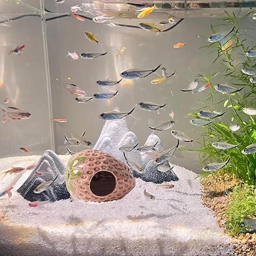 Aquarium Decor Cave Betta Fish Tank Accessories Ornaments Cactus House Hideout for Shrimp Cichlid Hermit Crab, Octopus Hiding Breeding for Tank (Green Cactus)(Strawberry Pink)