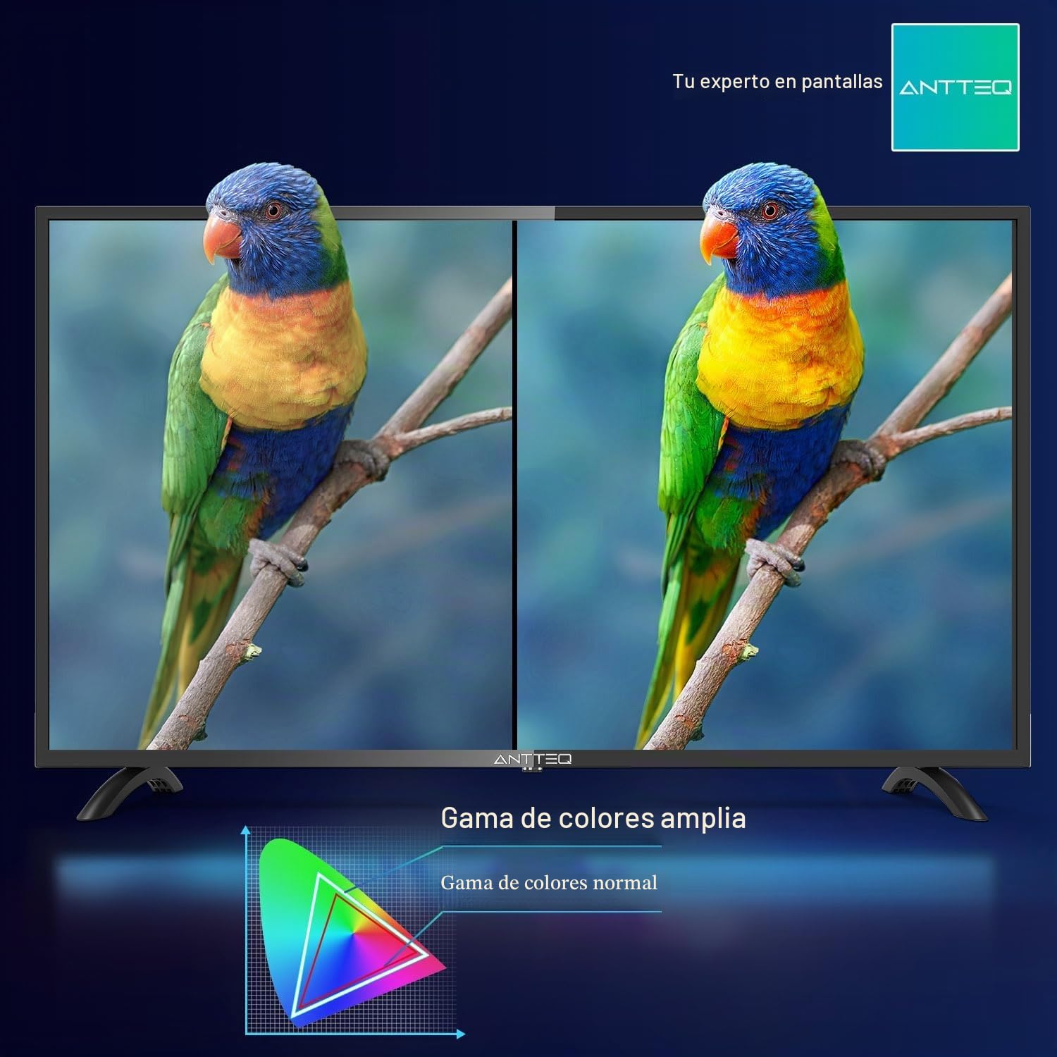 Antteq AB42D1 TV 42 Pulgadas (Televisores 106 cm), Dolby Audio, 2K D-LED, HDMI, USB, Salida de Audio Digital, Triple sintonizador DVB-C/T2/S2, Ci+, Incluido Modo Hotel