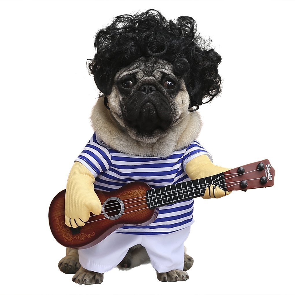 Dog Costume for Small Medium Dogs Cats Super Funny Crazy Guitarist Style There is a Wig Pet Clothes Best for Weekend Parties, Birthday, Halloween, Christmas (M)