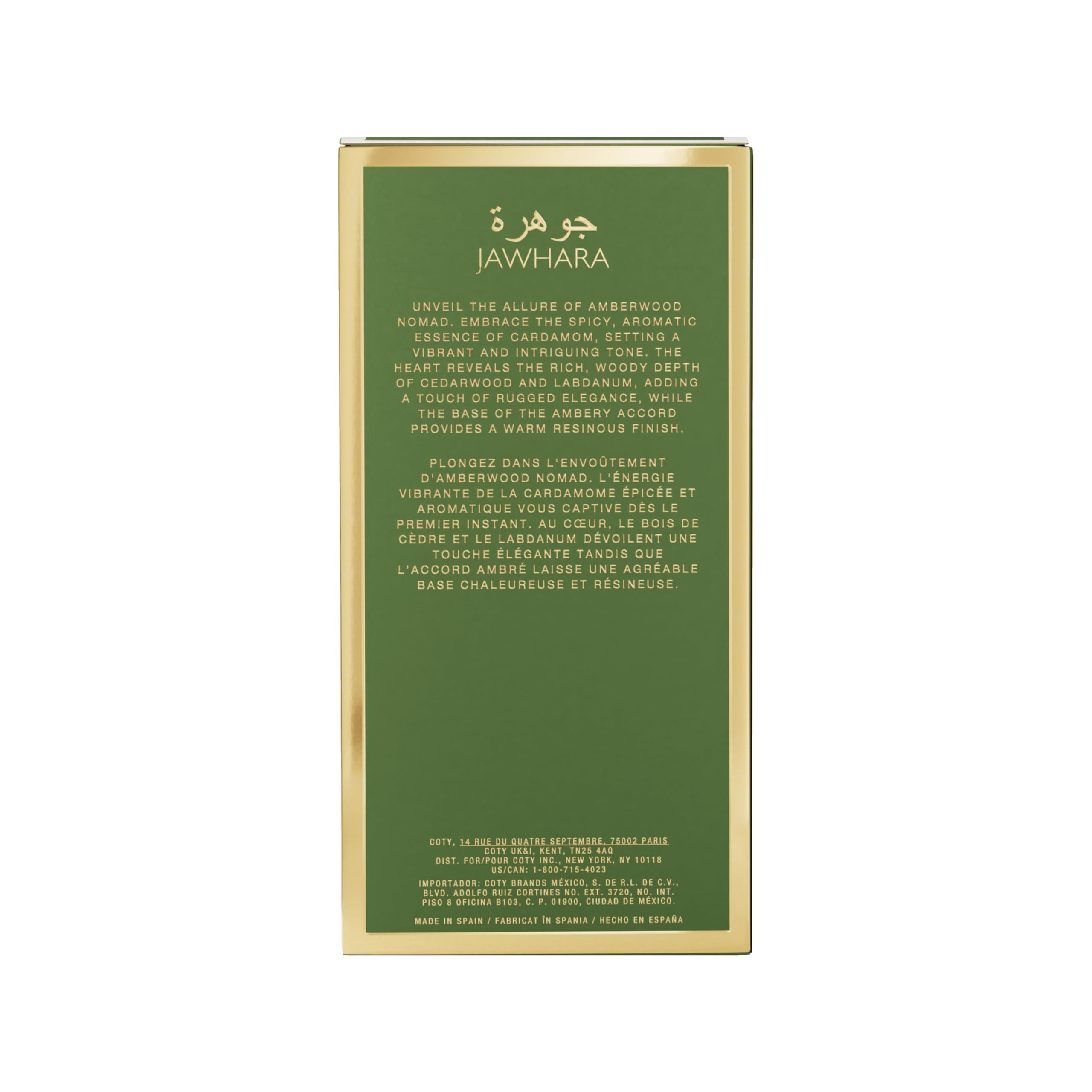 Amberwood Nomad Parfüm Eau de Parfum 100 ml – Orientalischer Unisex Duft mit Amber, Holz & Leder – Langanhaltend, intensiv & elegant Arabisches Parfum für Damen & Herren Oud, Luxus & Wüste
