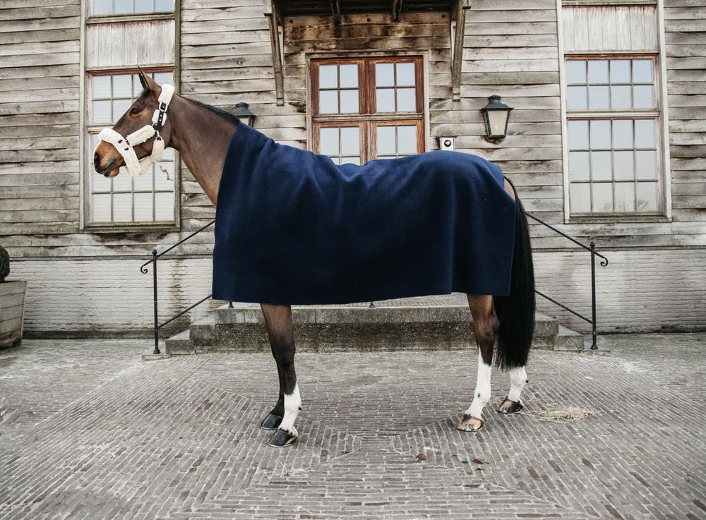 Chemise séchante cheval Kentucky Horsewear Heavy à absorption rapide et protection thermique - 7