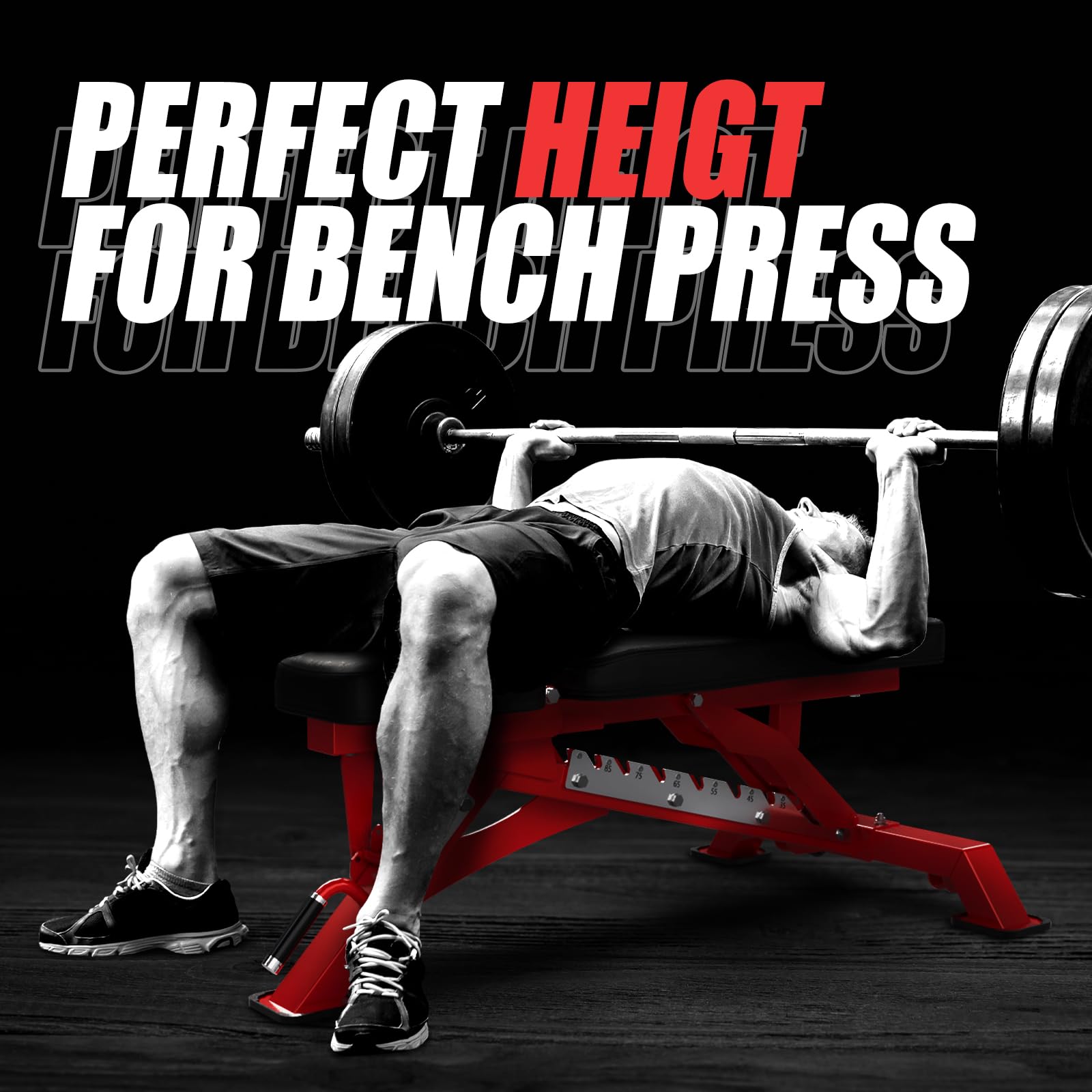 Adjustable Weight Bench, Incline Decline Flat, 1300LB Capacity | Full Body Workout Bench for Home Gym Strength Training, 10 Backrest Positions, 3 Seat Angles, Heavy Duty Steel Frame