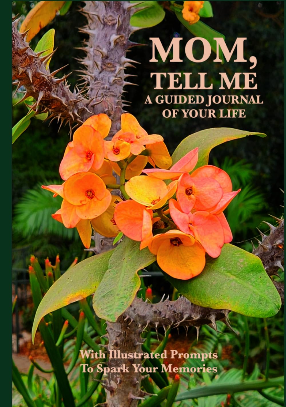 Mom, Tell Me: A Guided Journal of Your Life