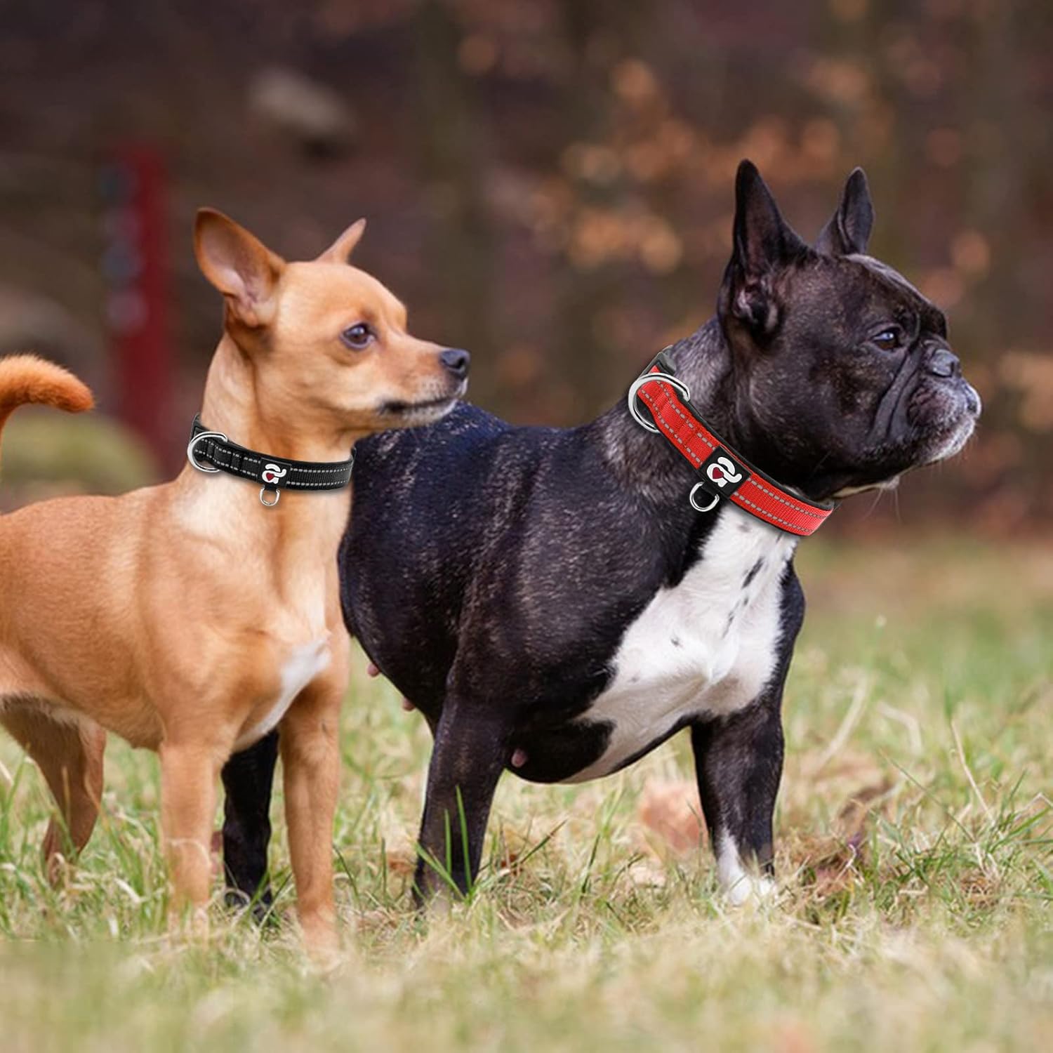 azuza 2 Pack Reflective Soft Neoprene Padded Dog Collars, Adjustable Pet Collar with ID Tag Ring, Safe and Comfy for Medium Dogs,Hot Pink/Pink,M : Pet Supplies