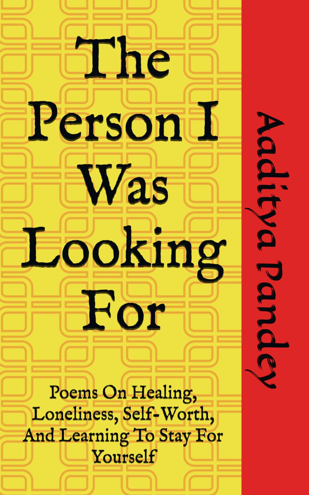 The Person I Was Looking For: Poems On Healing, Loneliness, Self-Worth, And Learning To Stay For Yourself