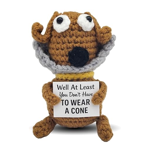 Well at Least You Don’t Have to Wear a Cone