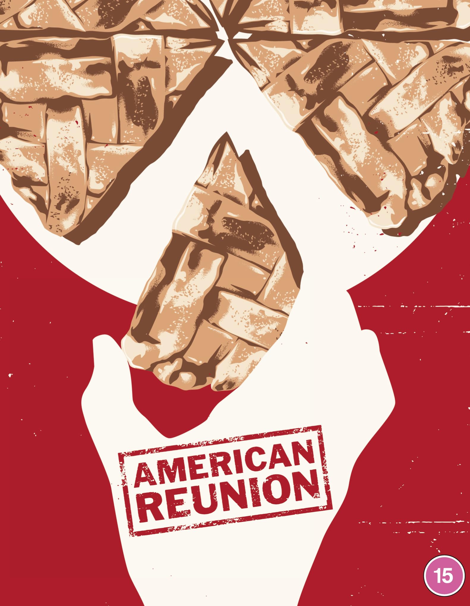 American Reunion - Deluxe Collector's Edition [Blu-ray]