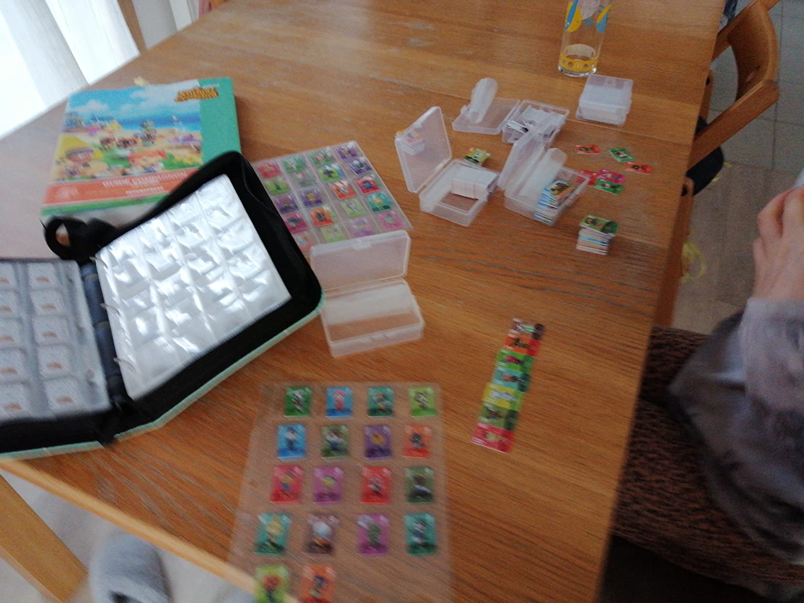 Classeur Carte pour Cartes Amiibo, 400 Mini Amiibo Album Rangement