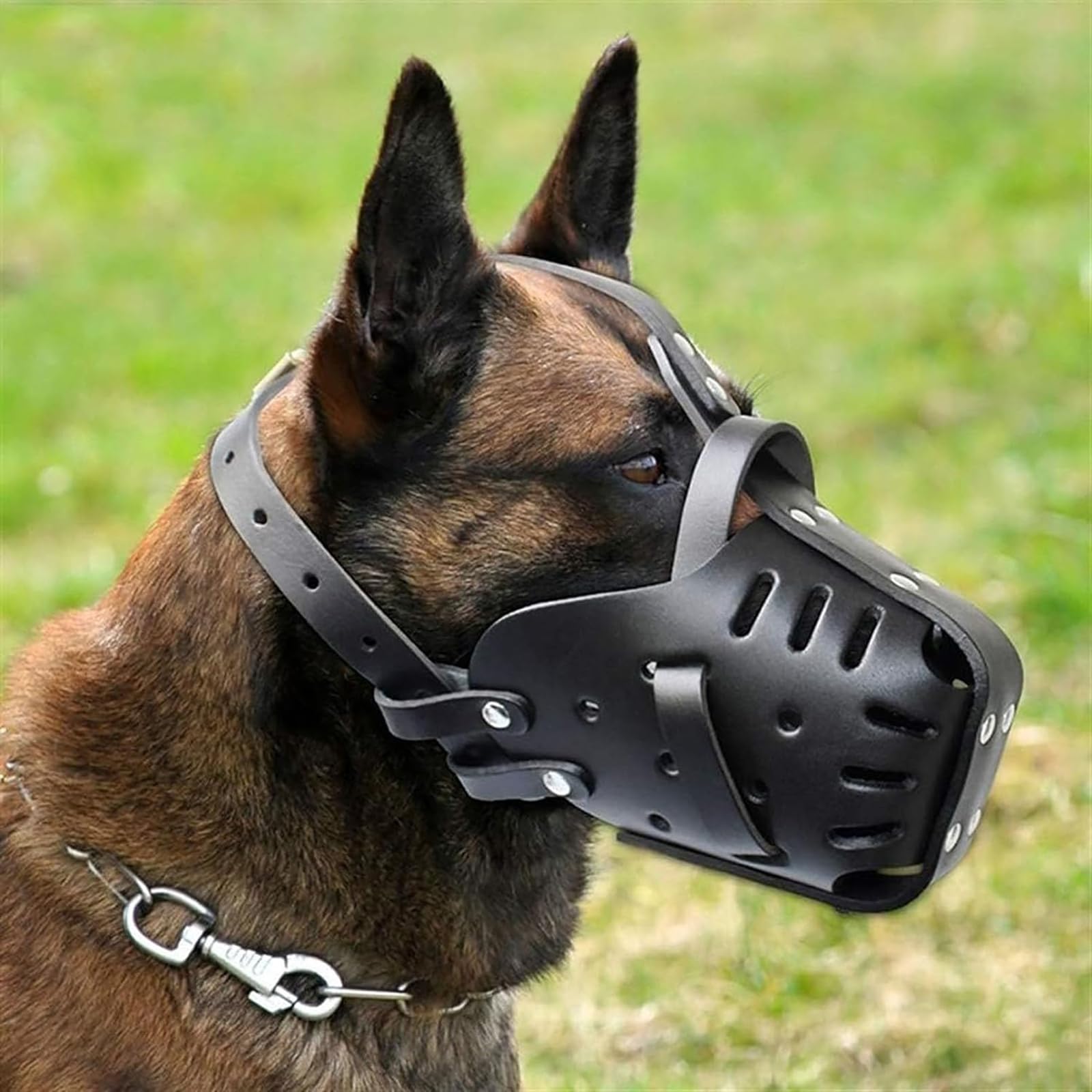 Bozales para Perros, Aseo, Transpirable Ajustable for Perros Medianos Grandes, Circunferencia del Cuello - 35 * 50 cm
