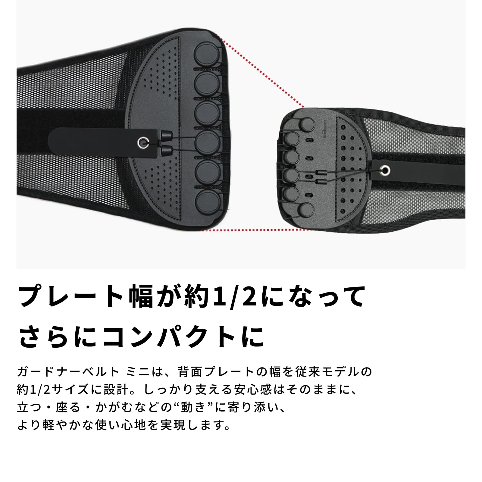Amazon.co.jp: ガードナーベルト mini（ガードナーベルトミニ）正規品