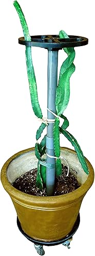 Miniatura 7 de Dragon Fruit Trellis - Jaula para plantas con forma de torre y cactus (40 pulgadas, gris oscuro (horario 80))