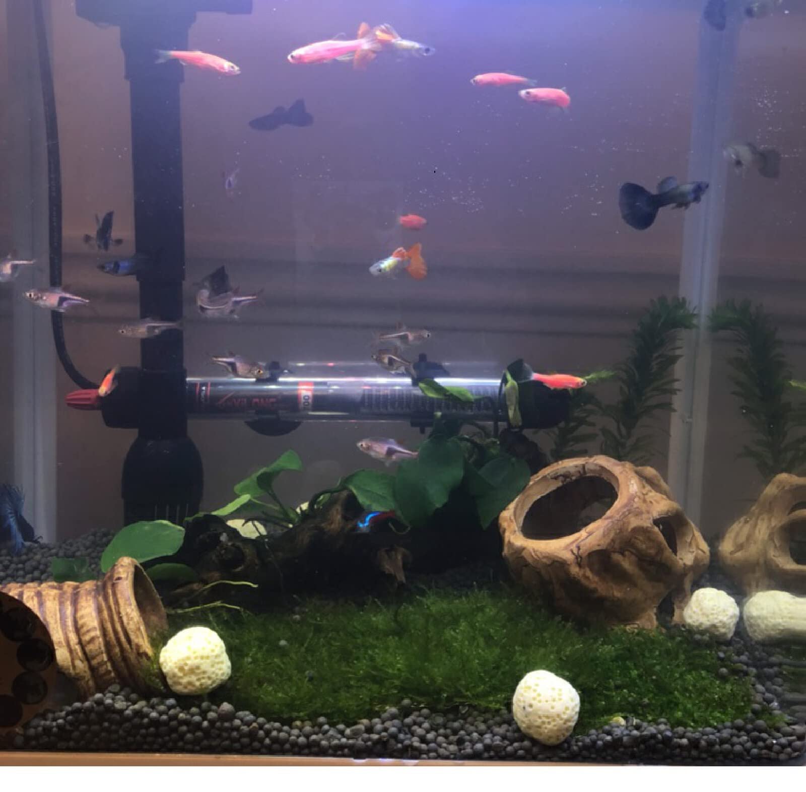 Decorazioni Acquario Arredamento Acquario Arredi Per Acquario Decorazioni Per Vasi Di Argilla Per Acquario Decorazioni Paesaggistiche A Forma Speciale Acquario Ornamentale Gamberetti Ciclidi Nascondig