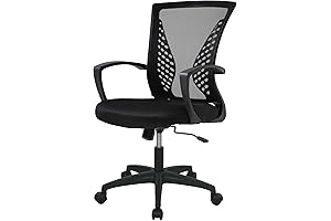 PayLessHere Gaming Chair Under 20