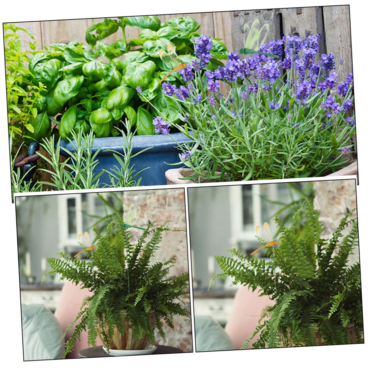 Yardwe 96stücke Dekorative Libellen Gartenstecker Realistische Gartenornamente Für Innen Und Außenbereich Bunte Deko Für Terrasse Und Blumenbeete Langlebige Materialien