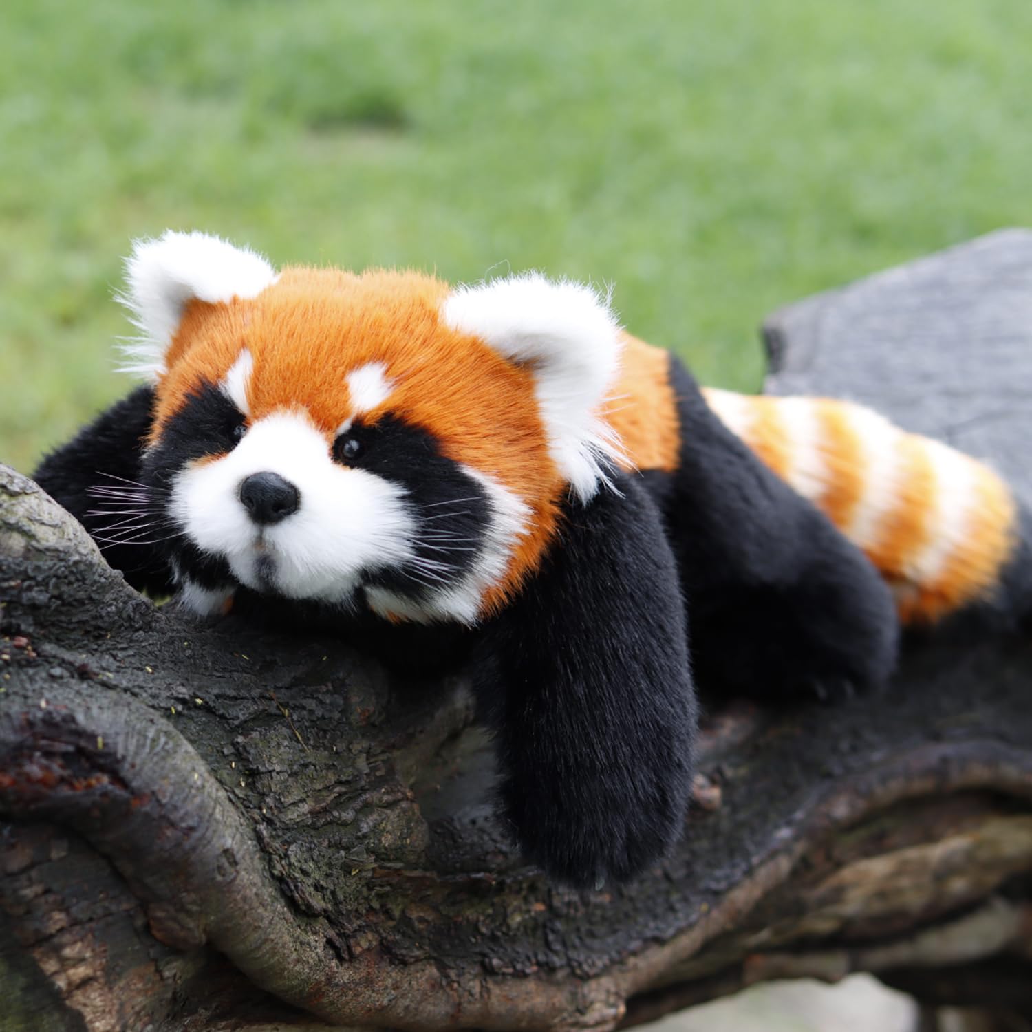 Chongker Realistic Stuffed Animal, Soft Red Panda Plush, Designed in a Lying-Down Pose for a Cosy Hug, Perfect for Companionship and Relaxation, for Wildlife Lovers — image 1