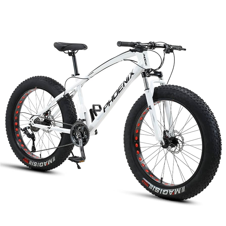  24インチマウンテンバイク 自転車 バイク マウンテンバイク 太いタイヤ 21 24 27 30段変速
