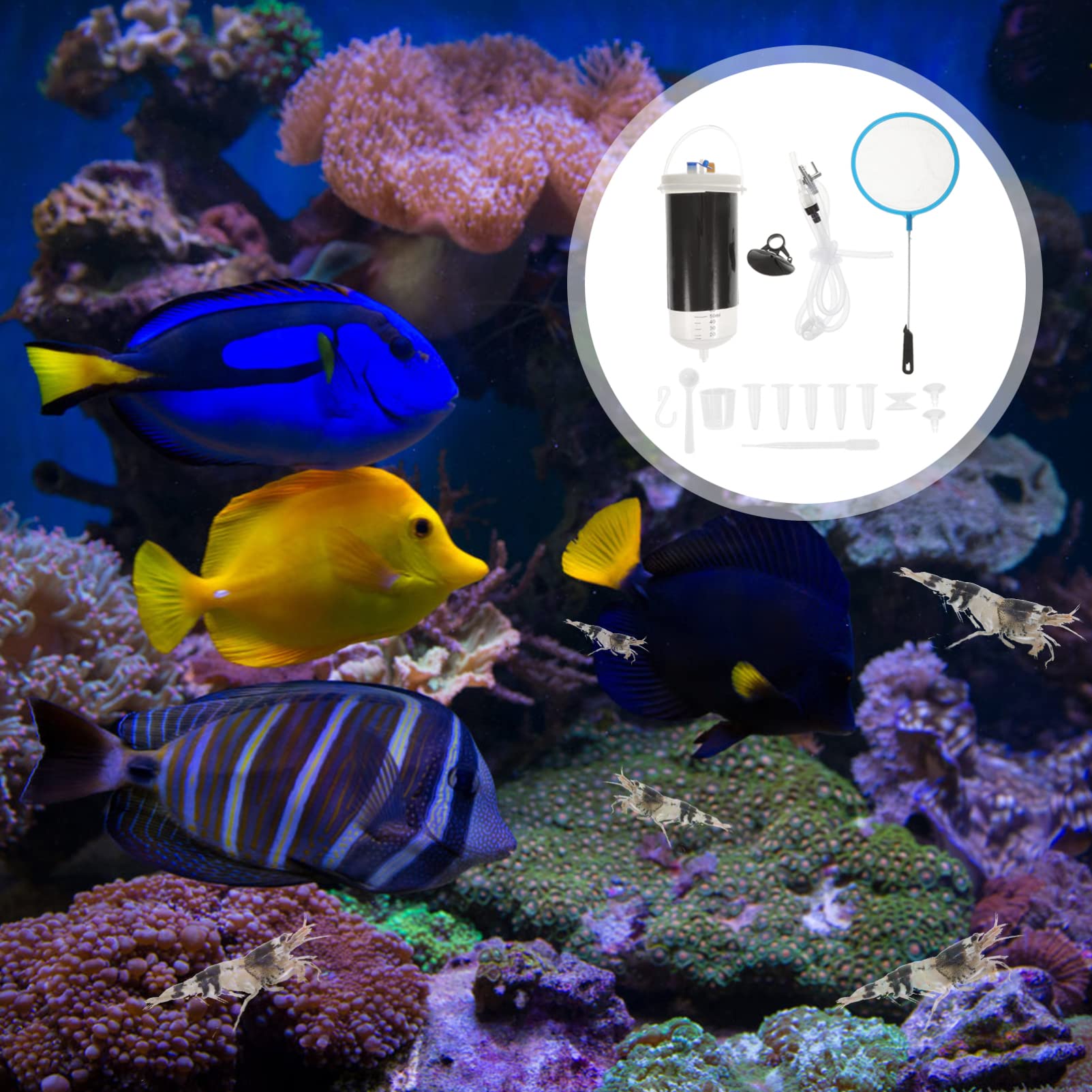 Cono De Cría Para Peces Y Camarones - Cerámica, Para Acuario | Ideal Para Peces Disco, Cíclidos, Puesta De Huevos