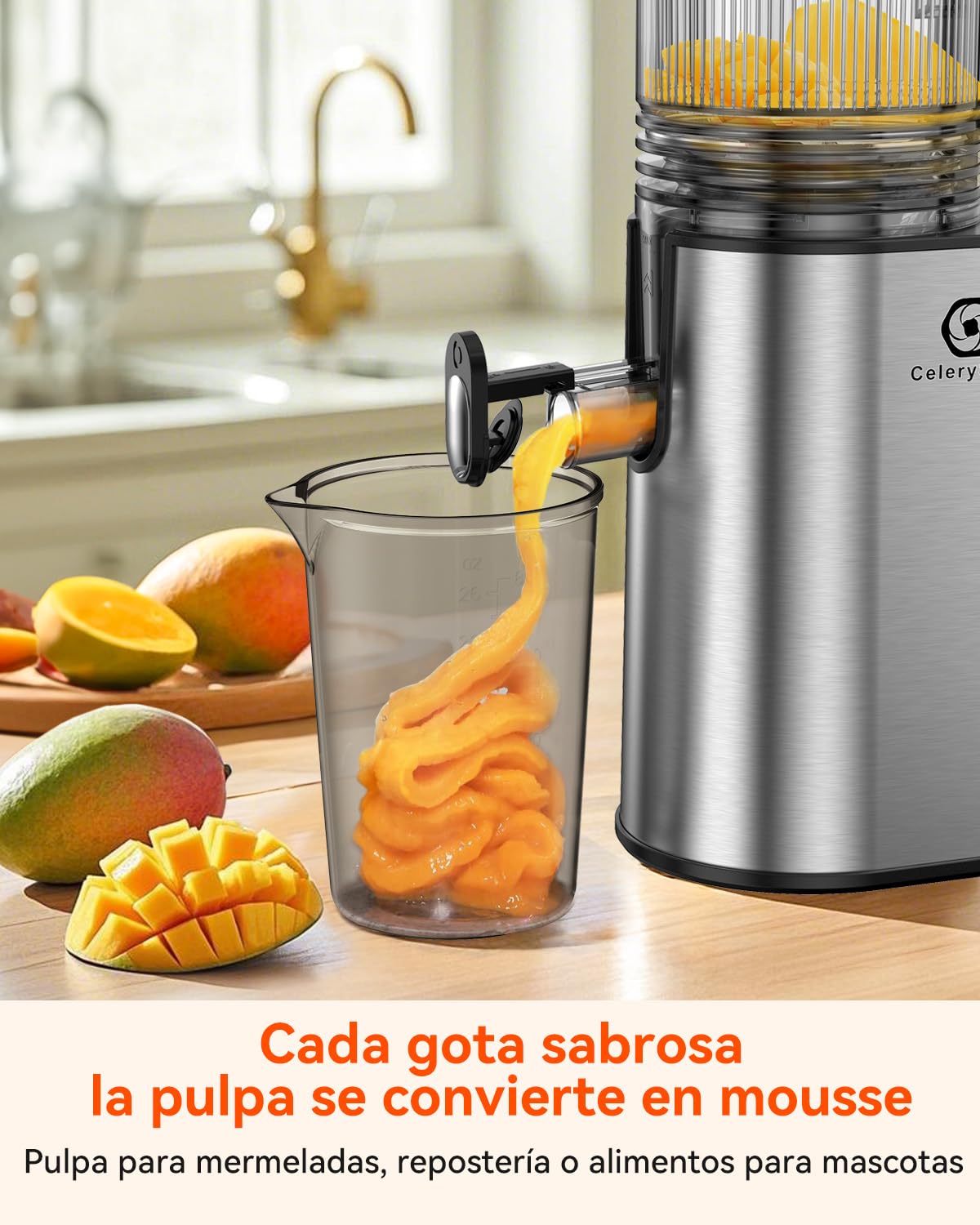 Extractor de Jugos de Frutas y Verduras, Prensado en Frío con Calibre de 130mm, Slow Juicer de 250W, Capacidad de 1,8L, Sin BPA, Fácil de Limpiar, Acero Inoxidable