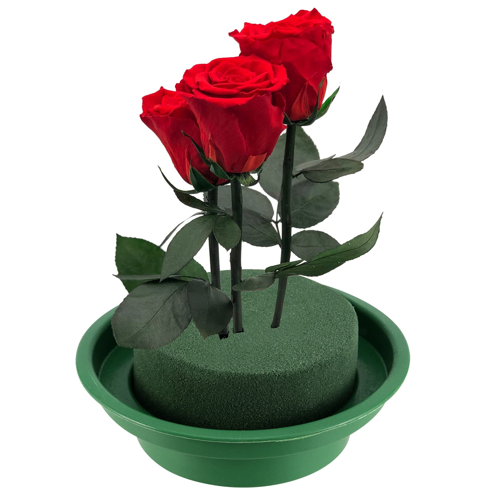 View 6