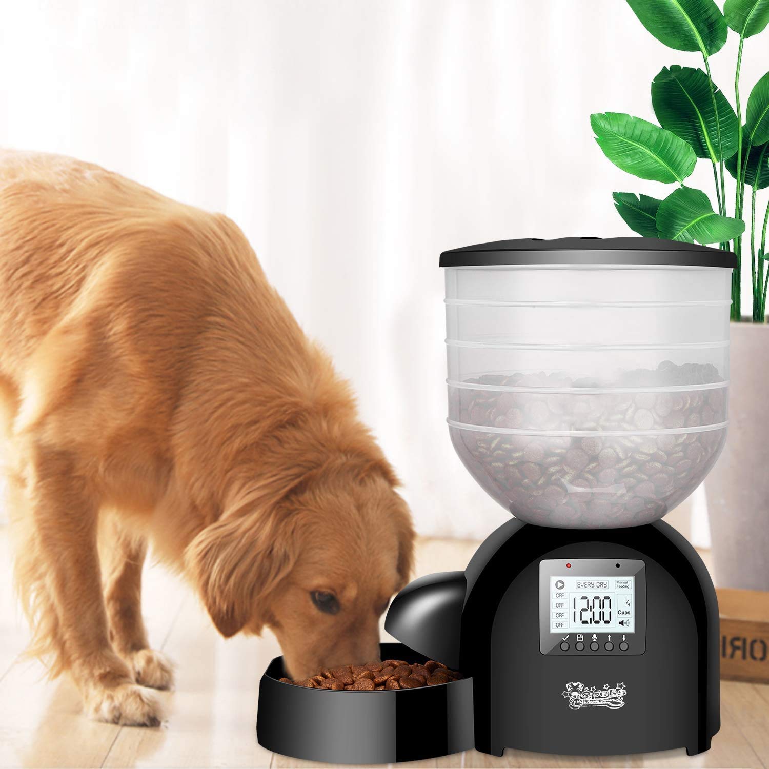 Frequently Asked Questions of how to reset af200 automatic pet feeder