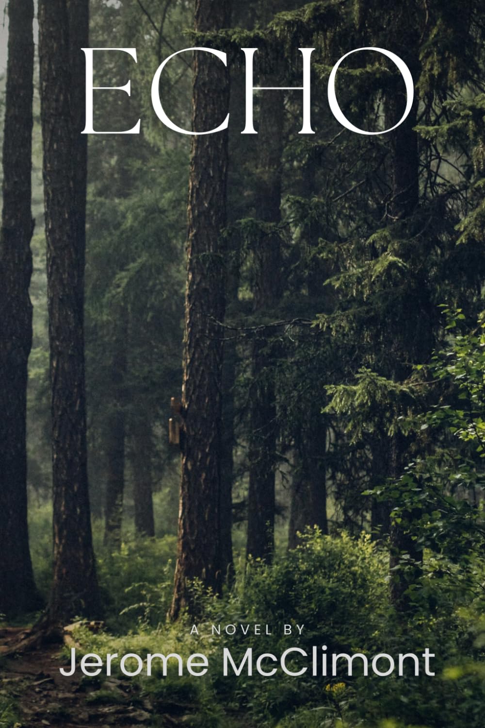Echo: An Existential Sci-Fi Thriller About a Watched Life: A dystopian psychological sci-fi thriller about surveillance, parallel realities, and a boy whose life is livestreamed