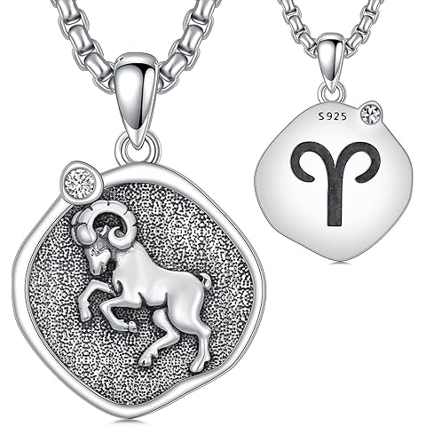 12 Zodiac Necklace 925 Sterling Silver Astrology Horoscope Necklace Jewelry Gifts f...