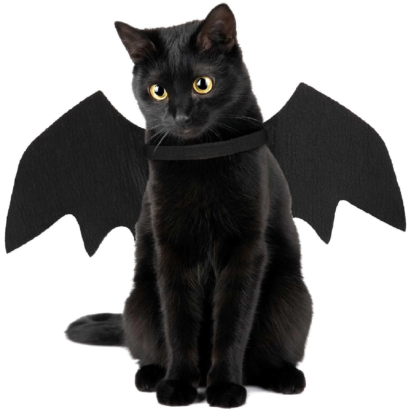 Cat Bat Wings,Halloween Bat Wings for Cat Bats Costume, Cute Cats Bats Wing Costume,Adjustable Cats Wing for Halloween Party Decoration,Pet Halloweens Costumes,Black S