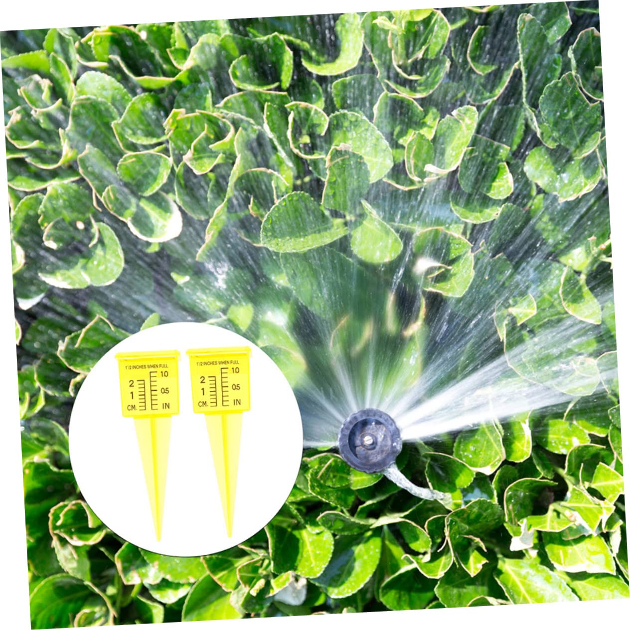 Kisangel 20 Pièces jauge d'arrosage pluviomètre Jardinage Jauge de pluviométrie pour Le Jardin gaie Mesure des précipitations Tasse à mesurer Les précipitations Tasse à mesurer en Plastique