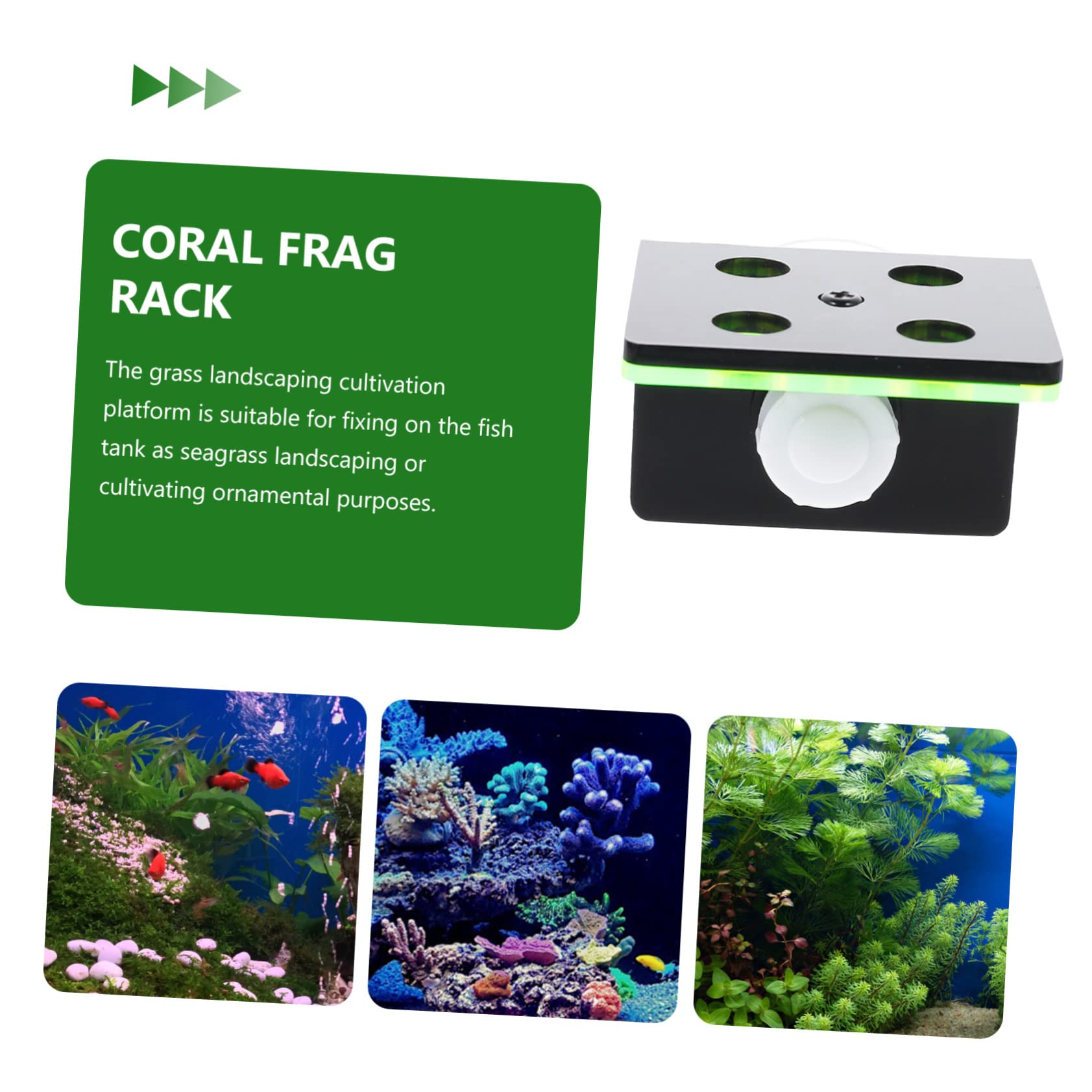 POPETPOP 2st Unterstützung Der Korallenausbreitung Korallen-frag-Rack Keramischer Korallenkleber Frag-festplatten Frag Plug Sandhalter Aquarium Korallenhalter Stecker Acryl Keramikfliesen